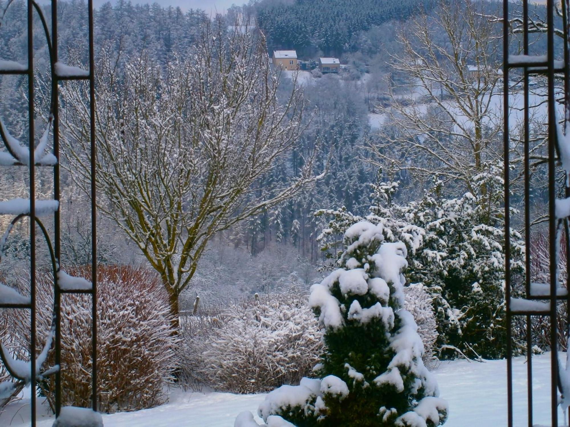 Le Renard'Or Bed & Breakfast Trois-Ponts Eksteriør bilde