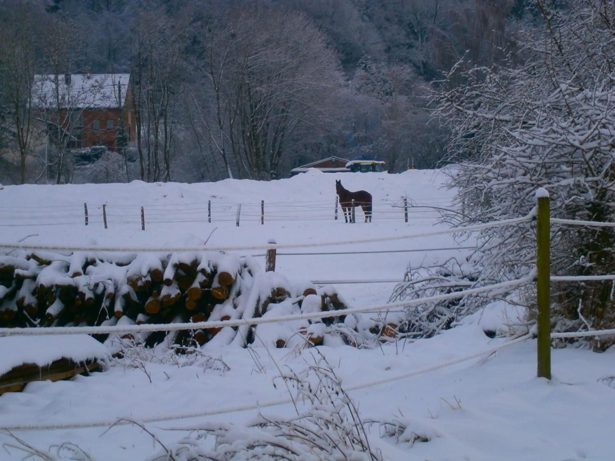 Le Renard'Or Bed & Breakfast Trois-Ponts Eksteriør bilde