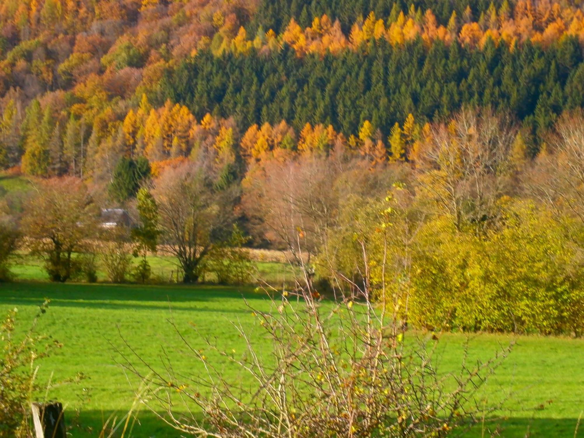 Le Renard'Or Bed & Breakfast Trois-Ponts Eksteriør bilde