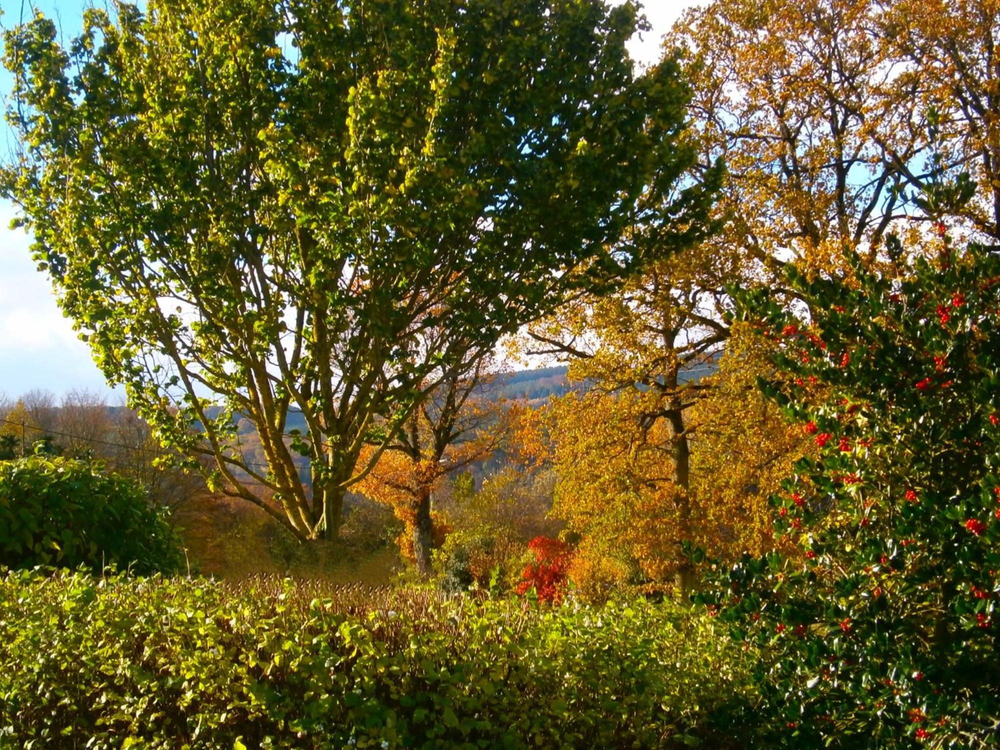Le Renard'Or Bed & Breakfast Trois-Ponts Eksteriør bilde