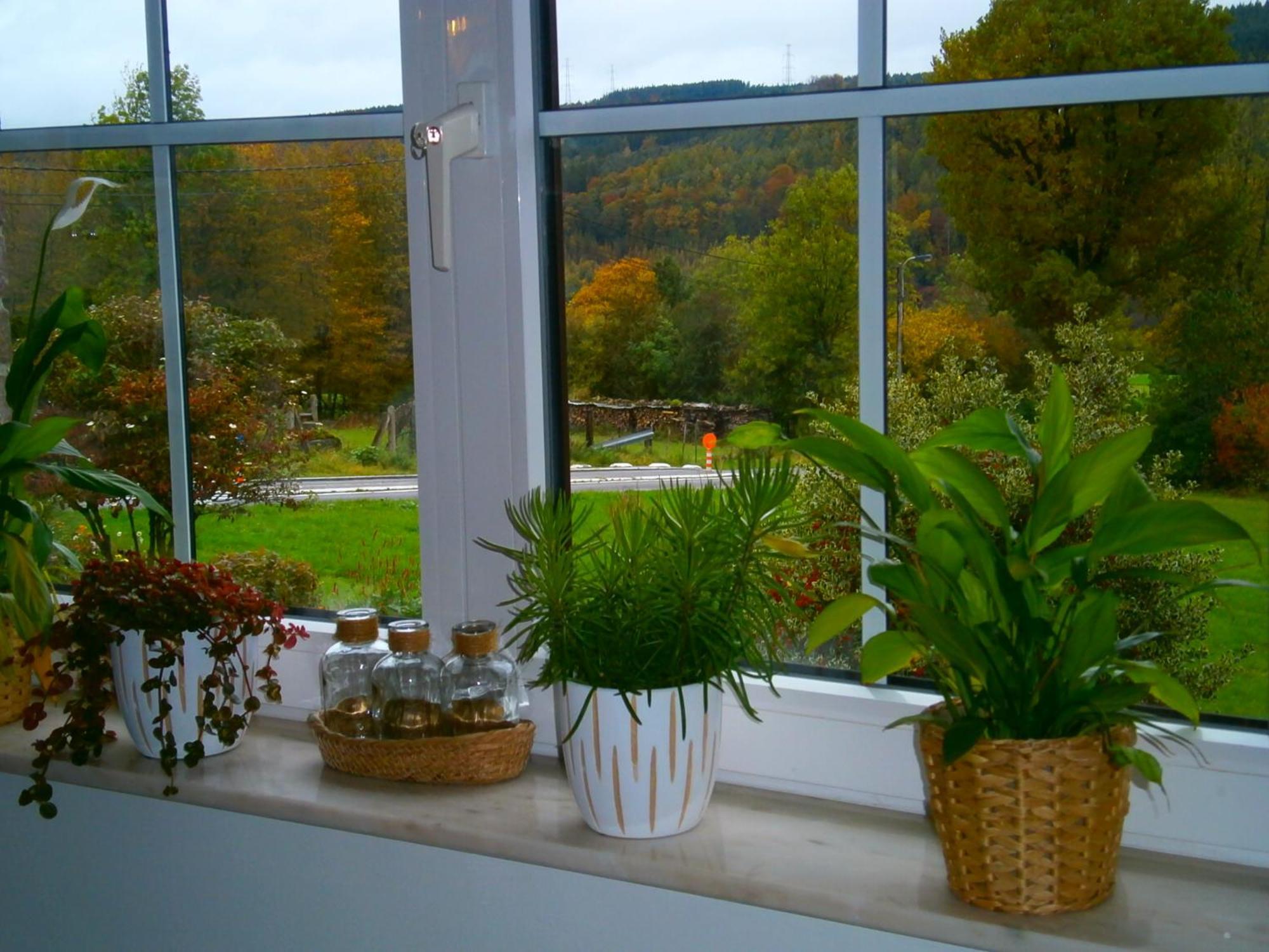 Le Renard'Or Bed & Breakfast Trois-Ponts Eksteriør bilde