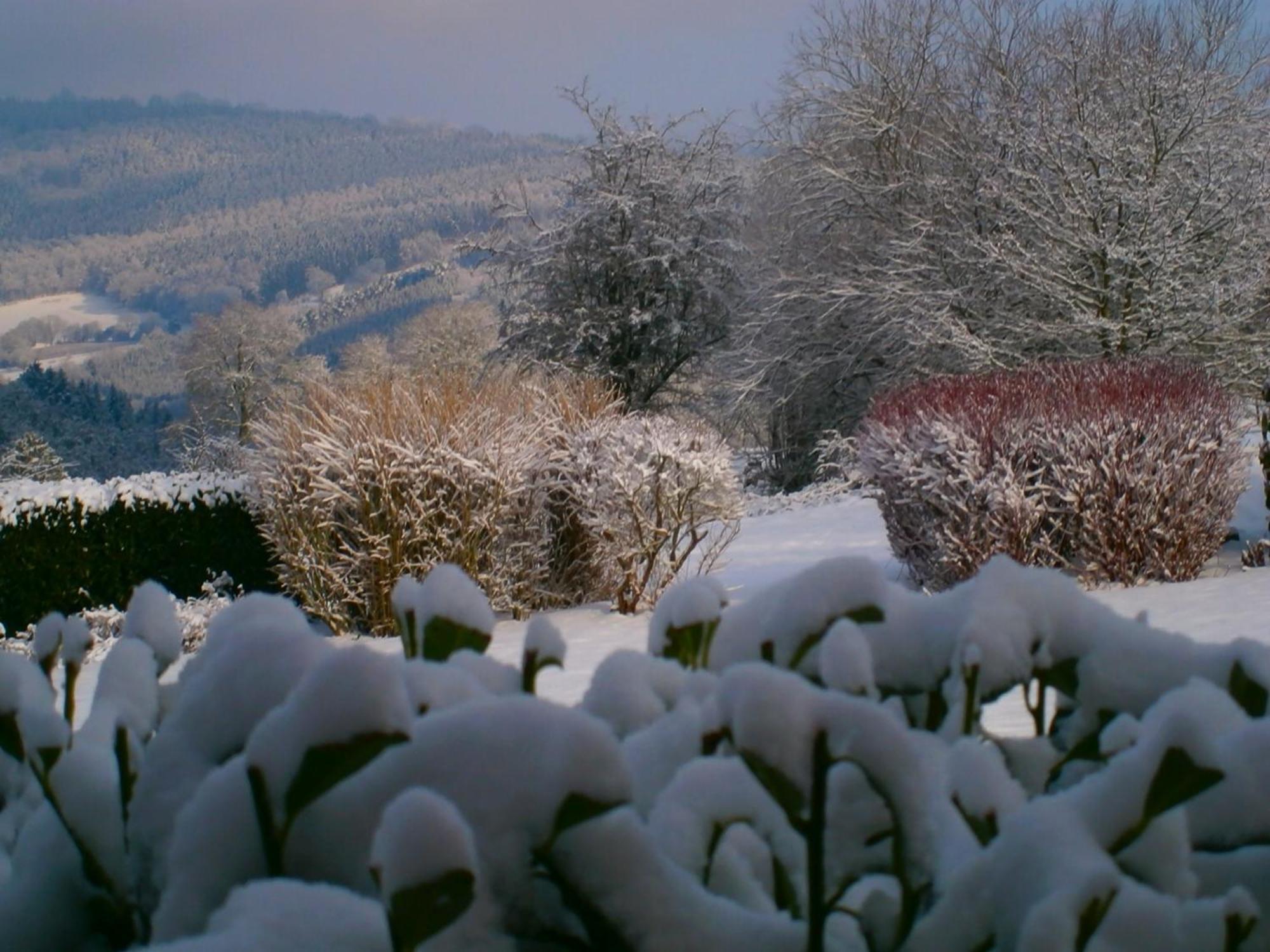 Le Renard'Or Bed & Breakfast Trois-Ponts Eksteriør bilde